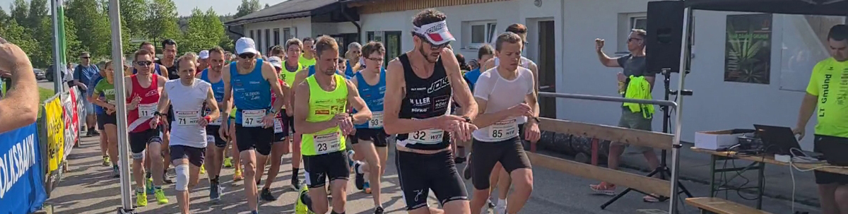 Sonnengelb räumte beim Friedenslauf in Reingers ab!