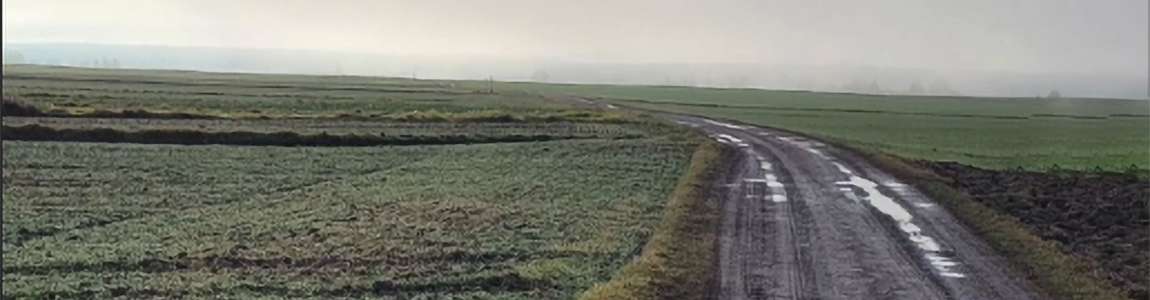 Die 3. Station der Waldviertel-Crosslaufserie am 20.12.2025